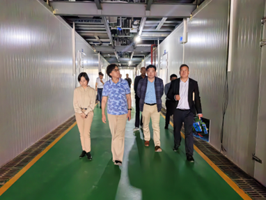聚焦產業前沿，賦能鄉村振興 國家食用菌產業技術體系首席科學家譚琦研究員一行赴崇明區調研食用菌產業發展